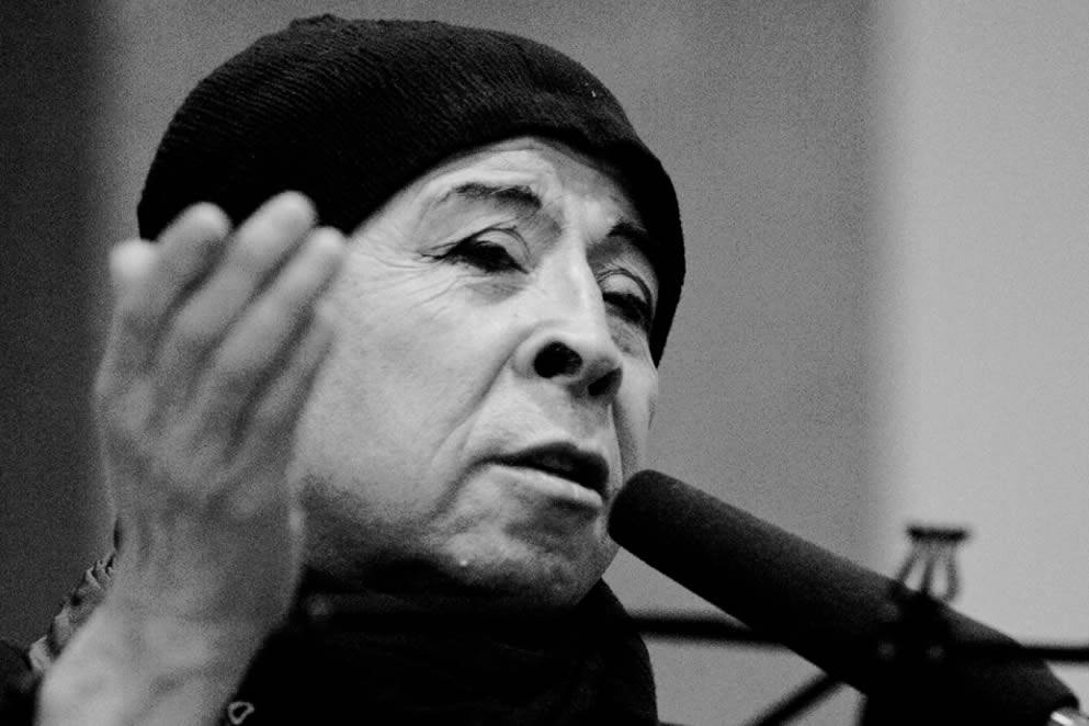 Ciclo Pedro Lemebel. Mi voz está alterada. Autor: Juan Botana