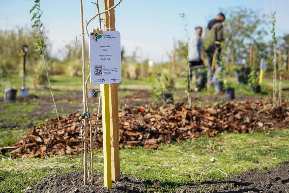 Vicente López: Incorpora un Espacio de Biodiversidad en la Costa