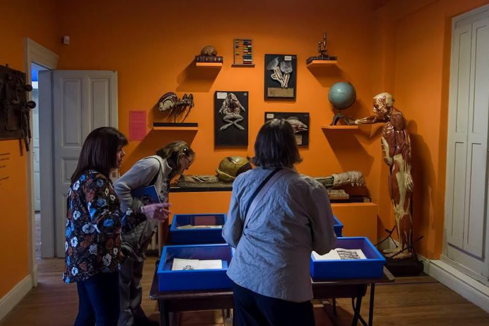 “Infancias”, una exhibición que invita a pensar cómo era ser niño en el siglo XIX