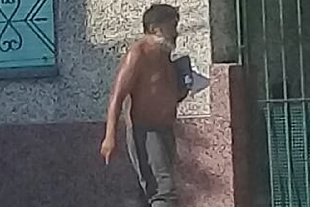 El loco automóvil. Por Mariano Bucich