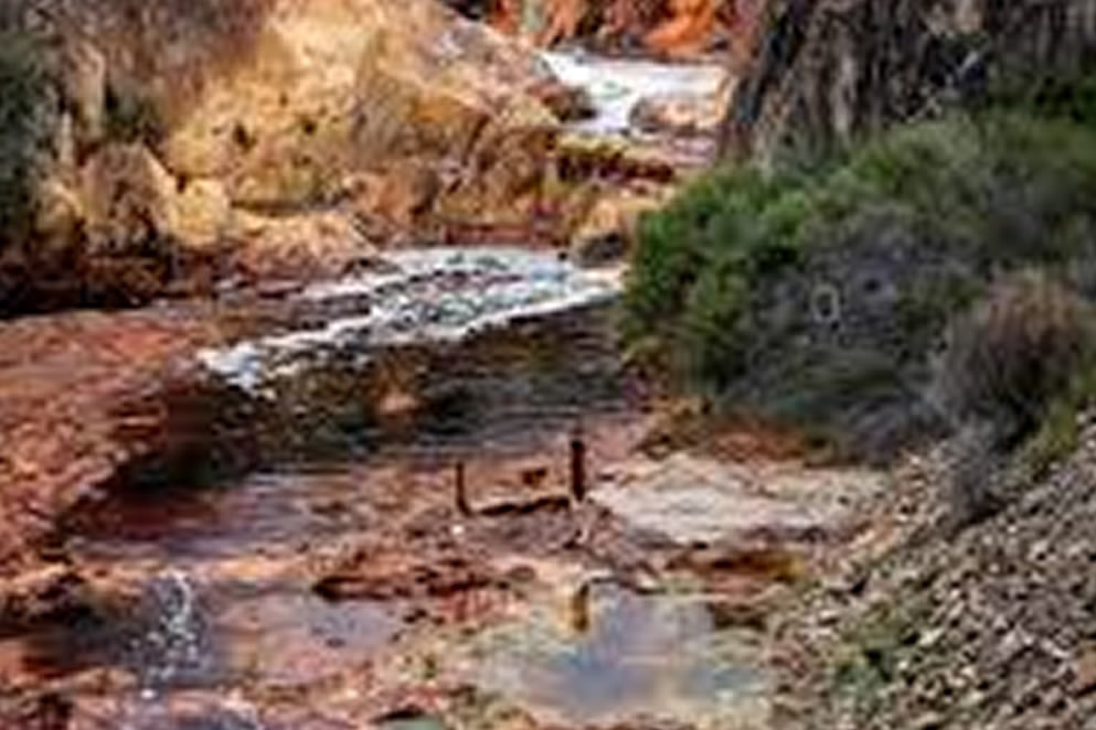 La pureza del desierto de Atacama. Por María Margarita Pérez Vallejos