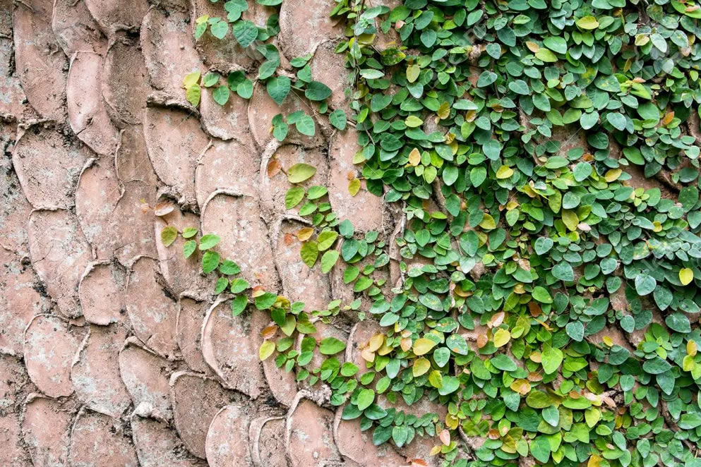 Carta abierta de Yamila Jara al amor (o la enamorada del muro)