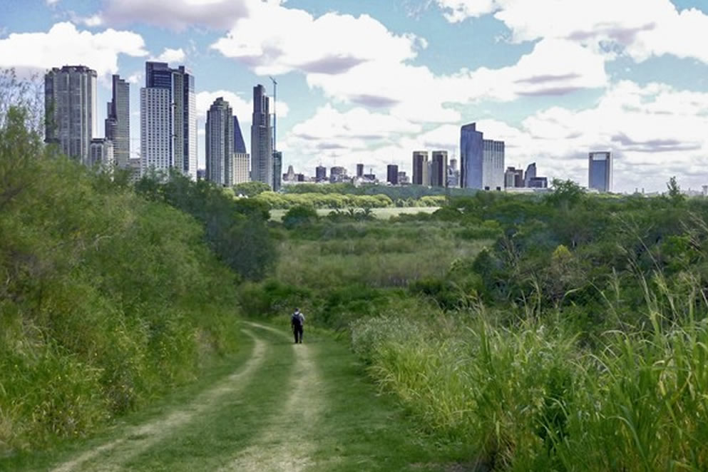 Carta abierta de María Elena Gómez a la destrucción de los humedales