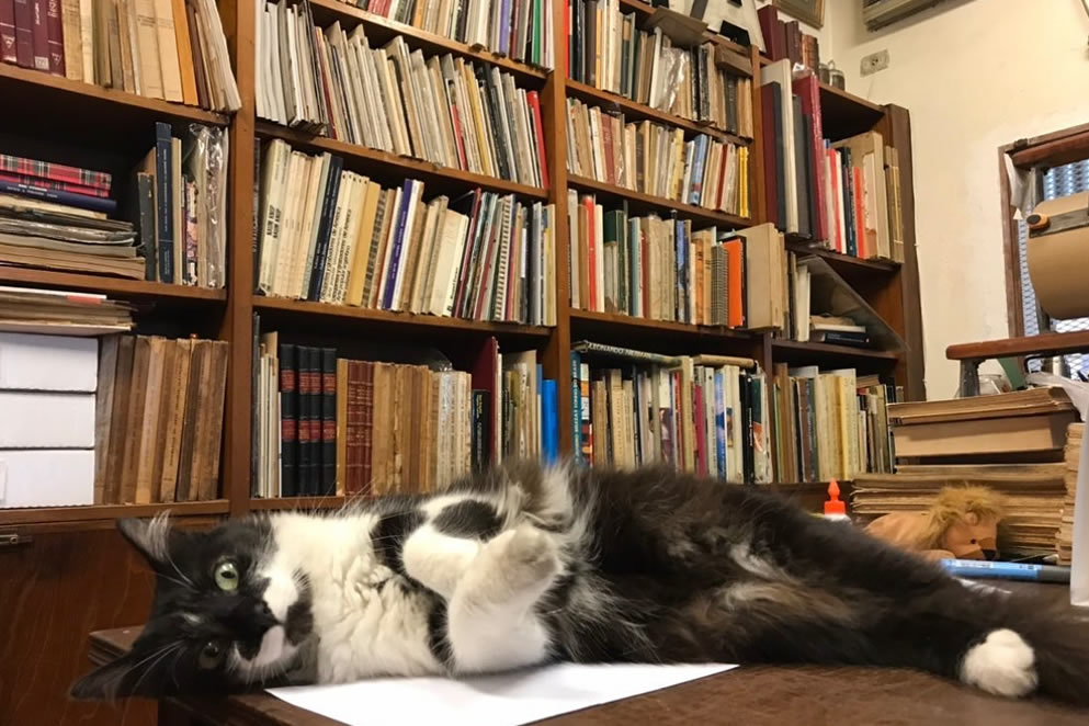 En noviembre la Ciudad se llena de literatura