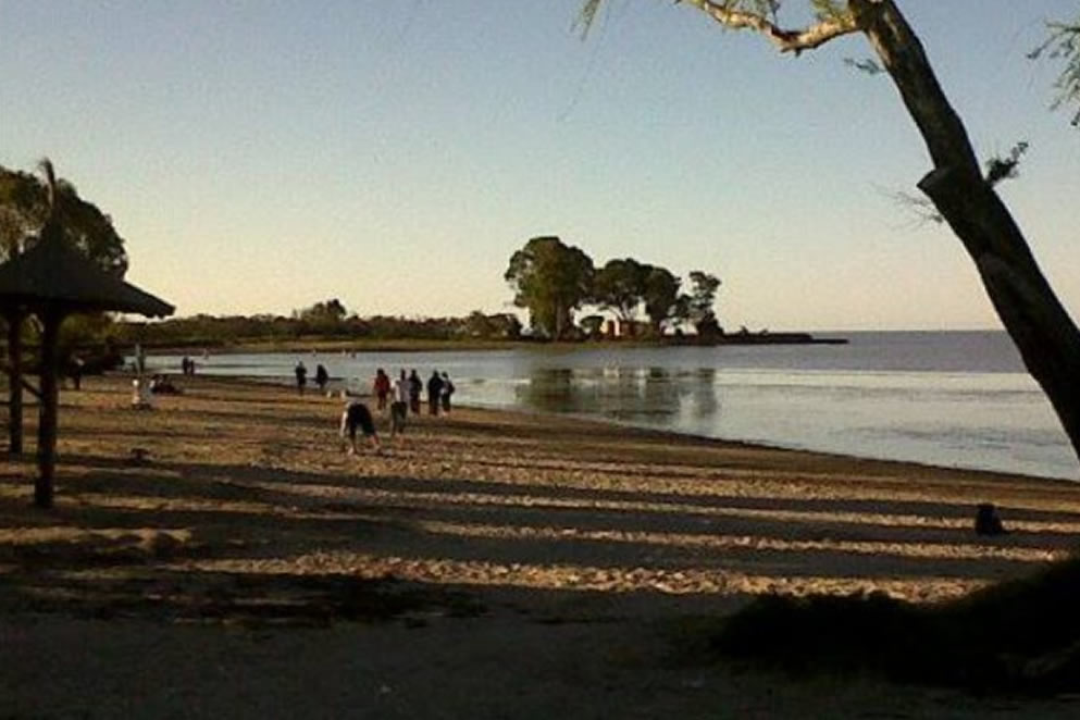 Punta Indio. Por Mariana Bucich