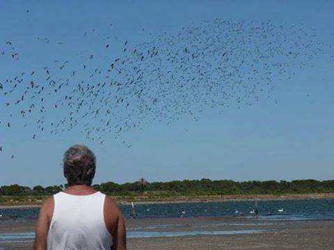 Juan de todos. Por Silvia Rivas