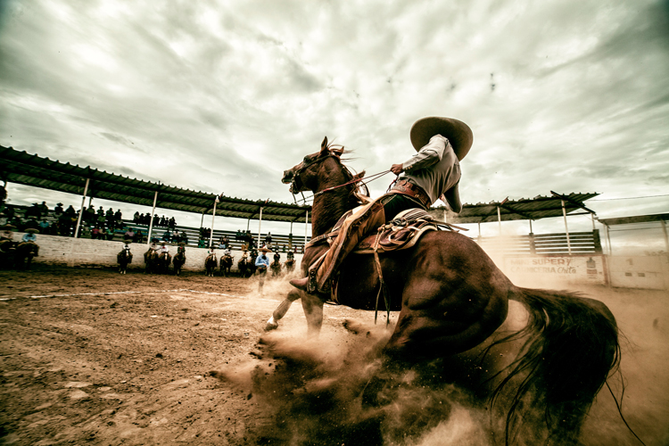 Desafío. Por María Elena Gómez