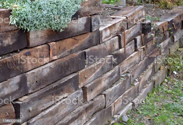 La durmiente. Por María Elena Gómez