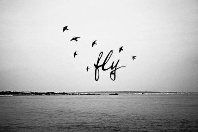 Locura. Por María Elena Gómez