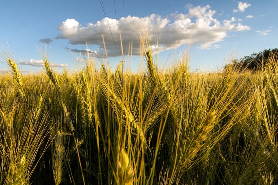 ¡Si se pudo, se puede!