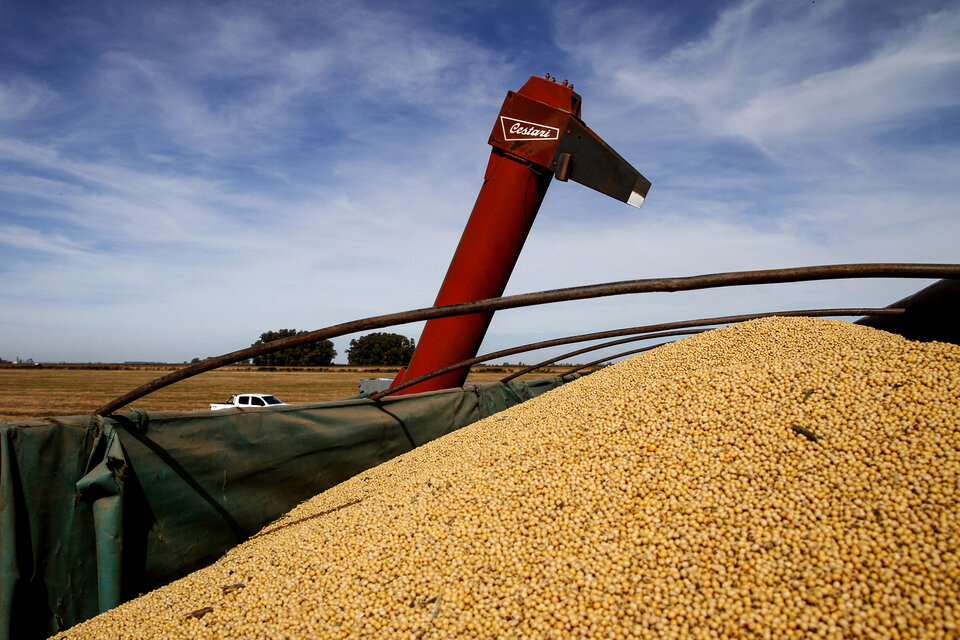 Millonaria maniobra de las grandes cerealeras
