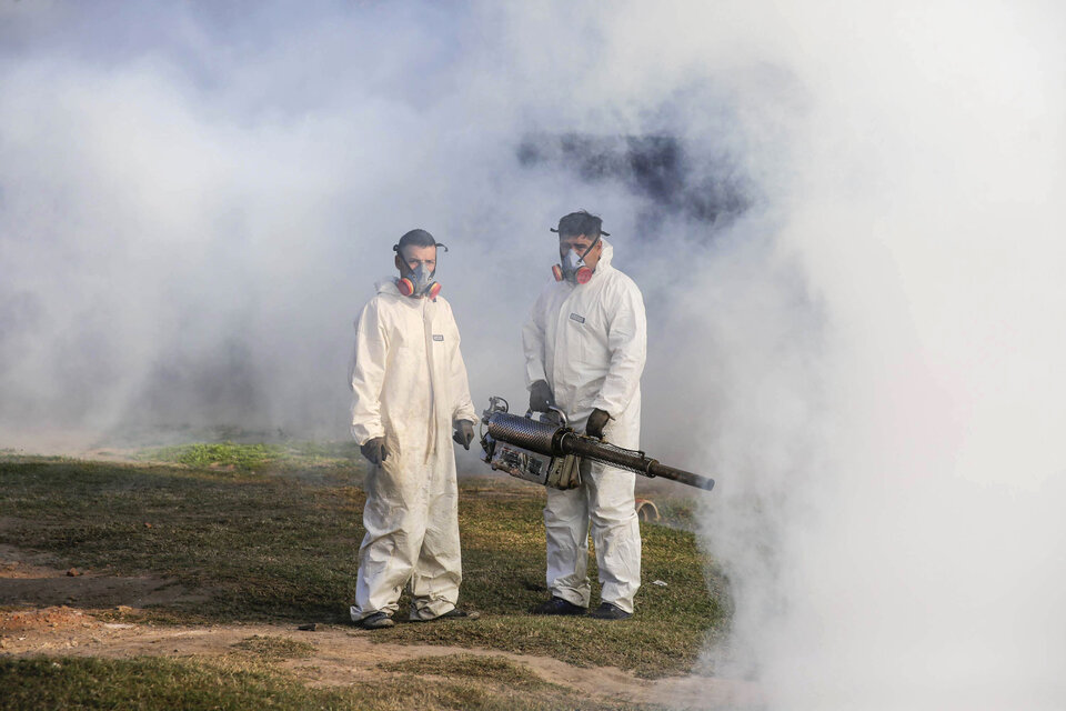 Dengue: crece la preocupación ante el brote y el aumento de casos 