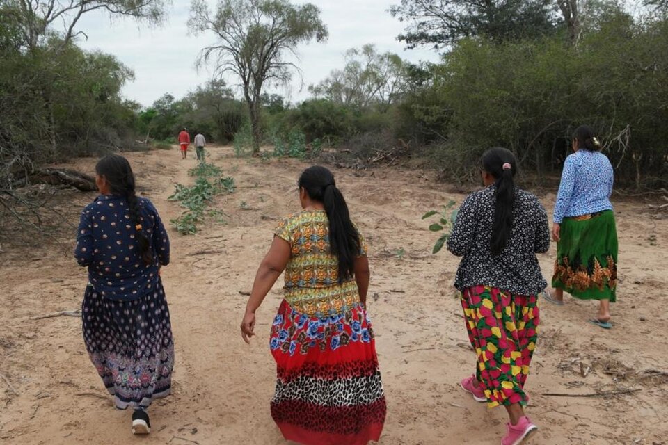 Mujeres indígenas de Salta y la búsqueda de una vida sin violencias
