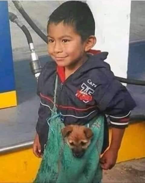 Carta abierta de Mary Mosquera: A veces lloro