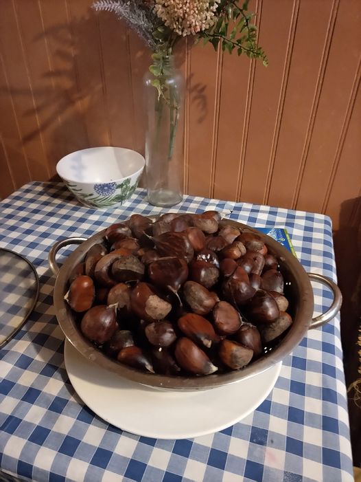 Cansancio de mujer. Por María Margarita Pérez Vallejos