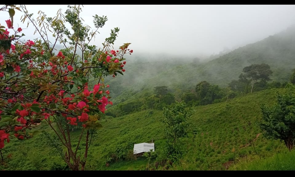 Carta abierta de César Arismendi a las verdes montañas