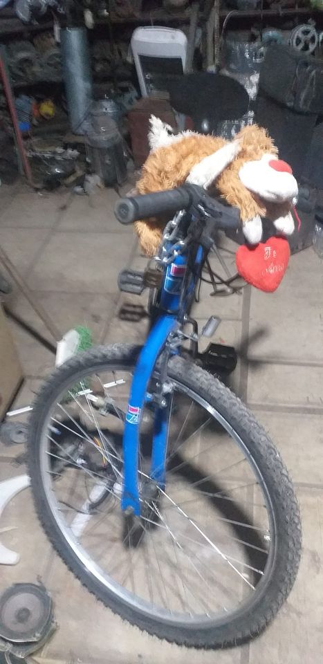 Carta abierta de Cubo de Fiorito al “perrito malvado”