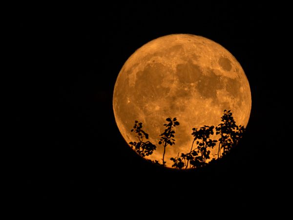 Carta abierta de César Arismendi a la super luna azul de poesías