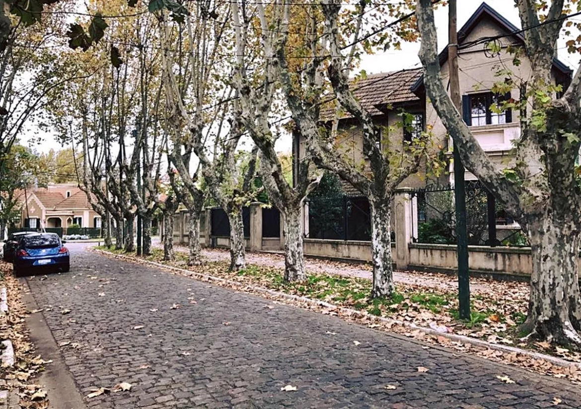 En mi Banfield querido. Por Mariano Bucich