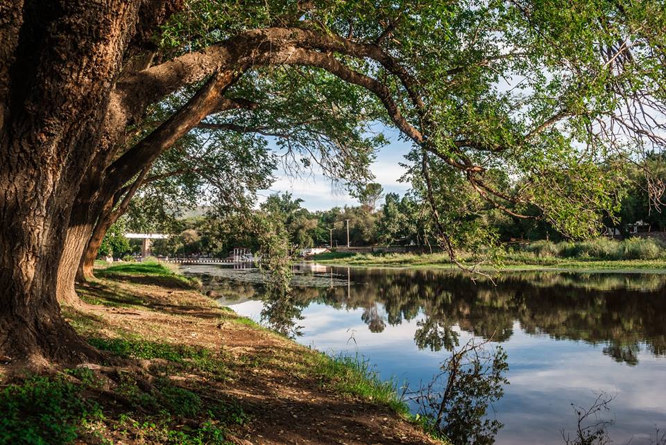 Entre el río y la tormenta. Por Susana Rebequi