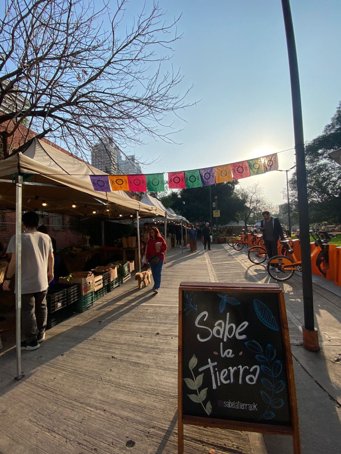 Dónde encontrar la feria saludable Sabe la Tierra. Por Camilo Fuentes