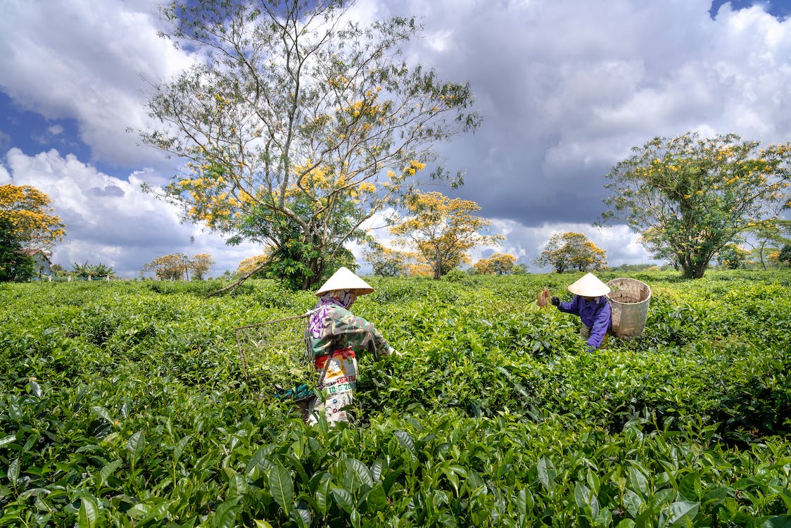 Carta abierta de Claudio Valerio: Sembrá bien para cosechar bondad