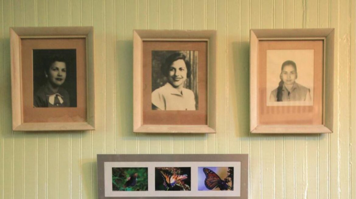 El odio a las mariposas: Violencia política contra las mujeres y discursos de odio. Por Mariana Rulli