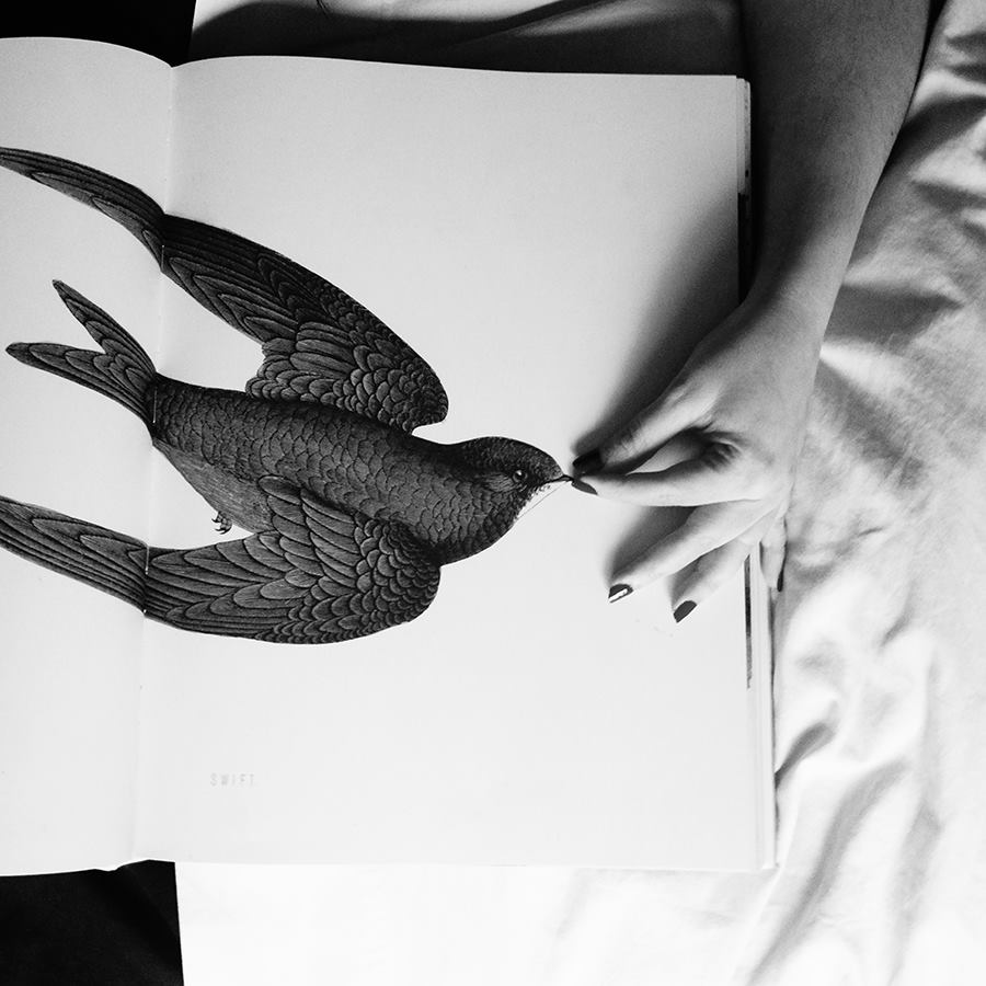 Carta abierta a la niña que fui de Francisca Pageo