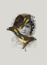 Carta abierta sobre la creación de Francisca Pageo