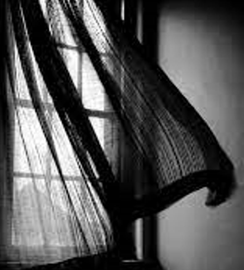 De cinco meses. Por Raúl Kersenbaum