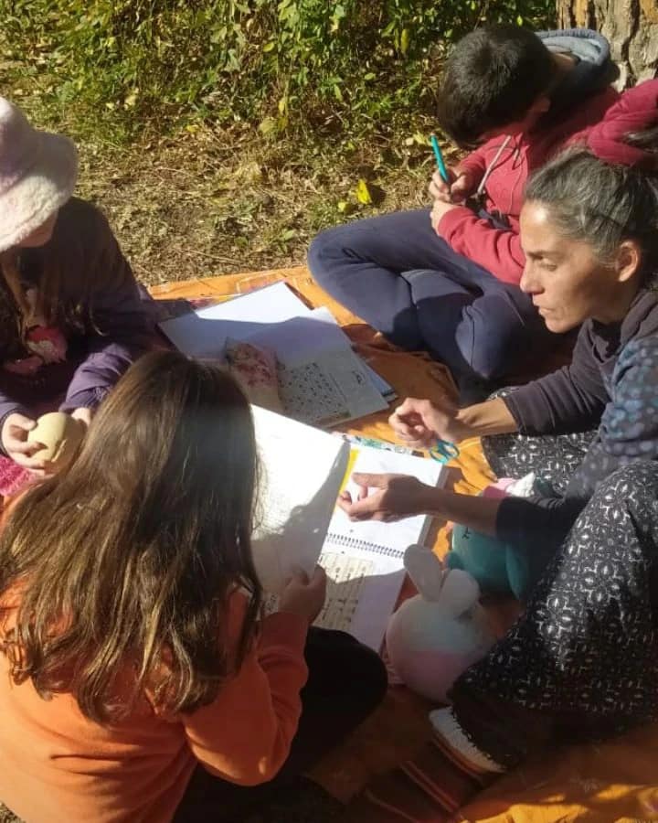 Verde Tortuga Titilante. Por Araceli D´Amico