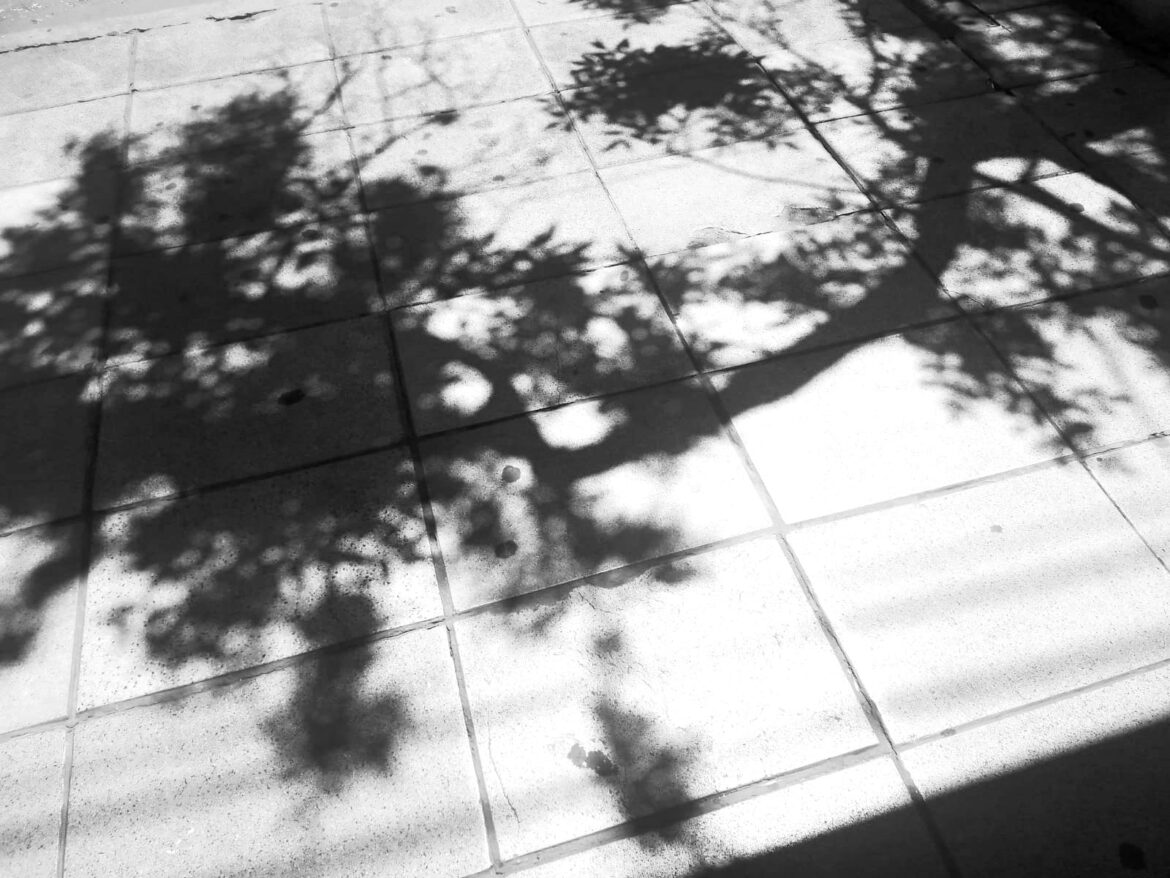 Juegos a la tarde. Por Raúl Kersenbaum