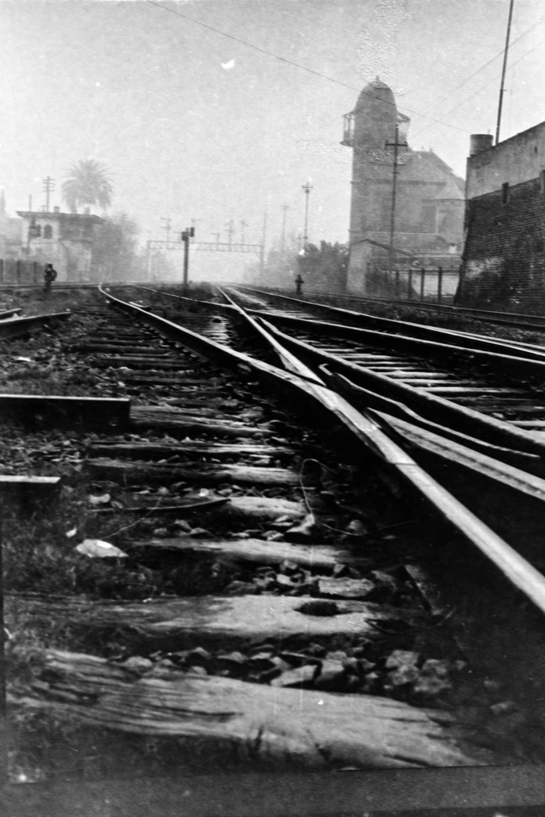 El mirador de Banfield. Por Mariano Bucich