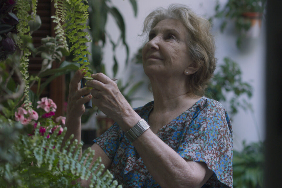 Carta abierta de Mónica Samaniego a Norma Aleandro