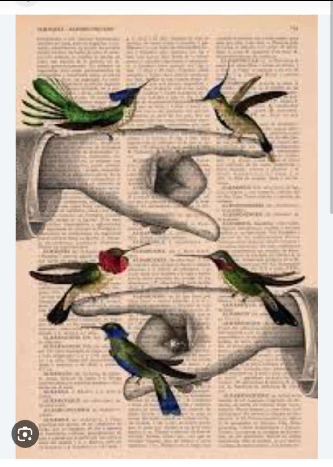 El poder de las palabras. Por Silvina Lérida