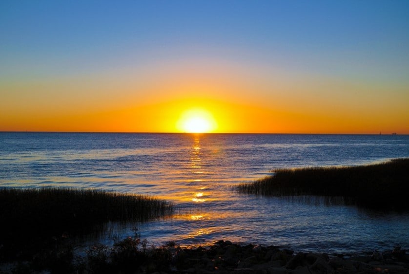Punta Indio. Por Mariano Bucich