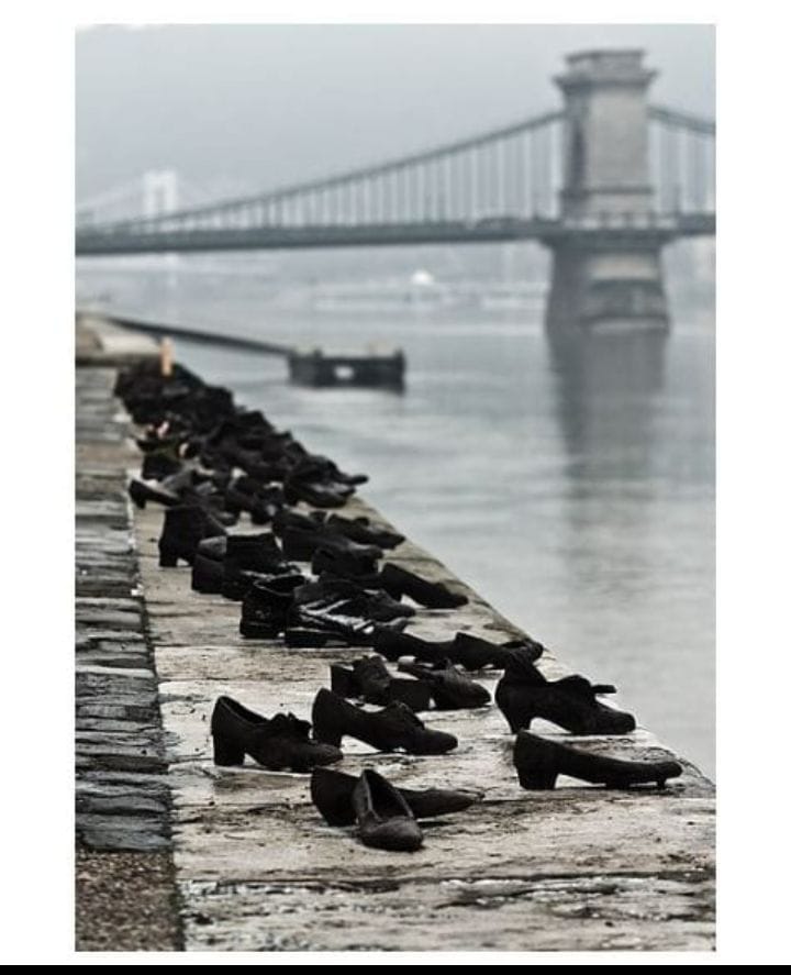 Zapatos. Por Cecilia Cimiotto