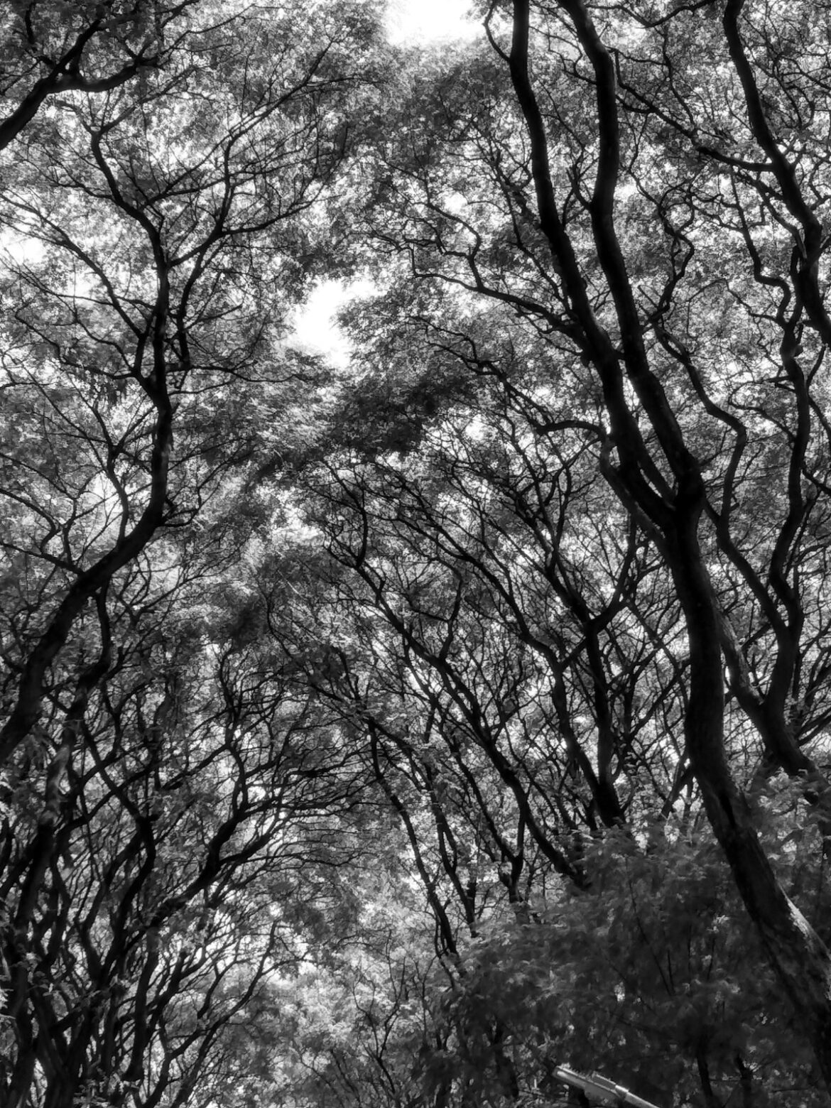 En la ESMA. Por Raúl Kersenbaum