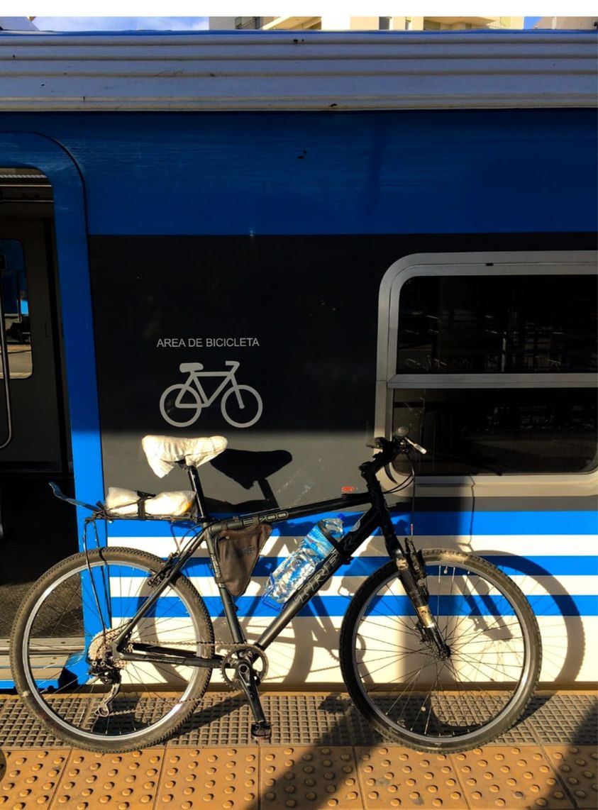 Las puertas del tren eléctrico. Por Mariano Bucich