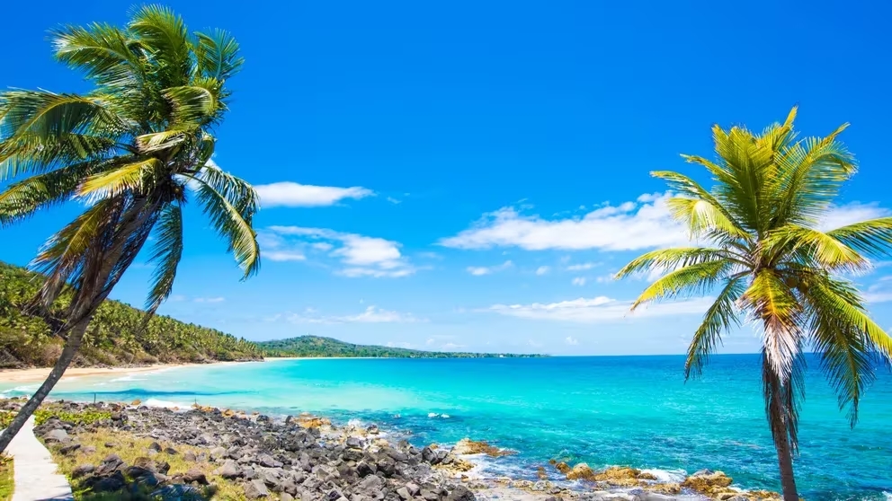 Carta abierta de Luis Arévalo: Nicaragua es un país mágico