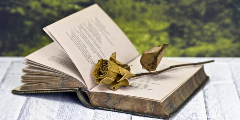 Poema, enamorado. Por Isel Fuentes