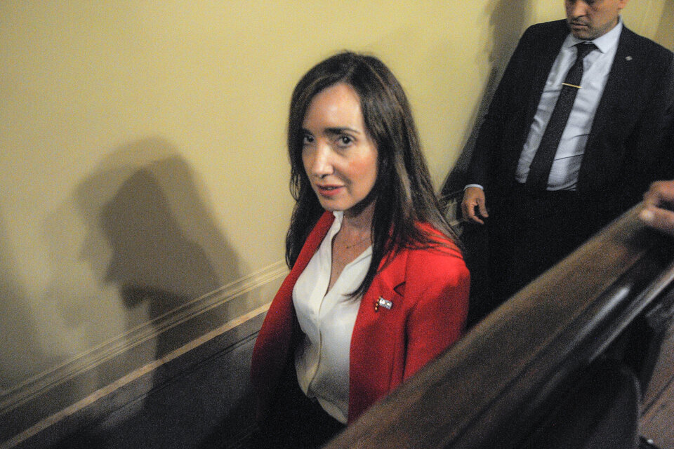 ¿Qué opinás de los que piensan que Milei va a renunciar y asumirá Villarruel?