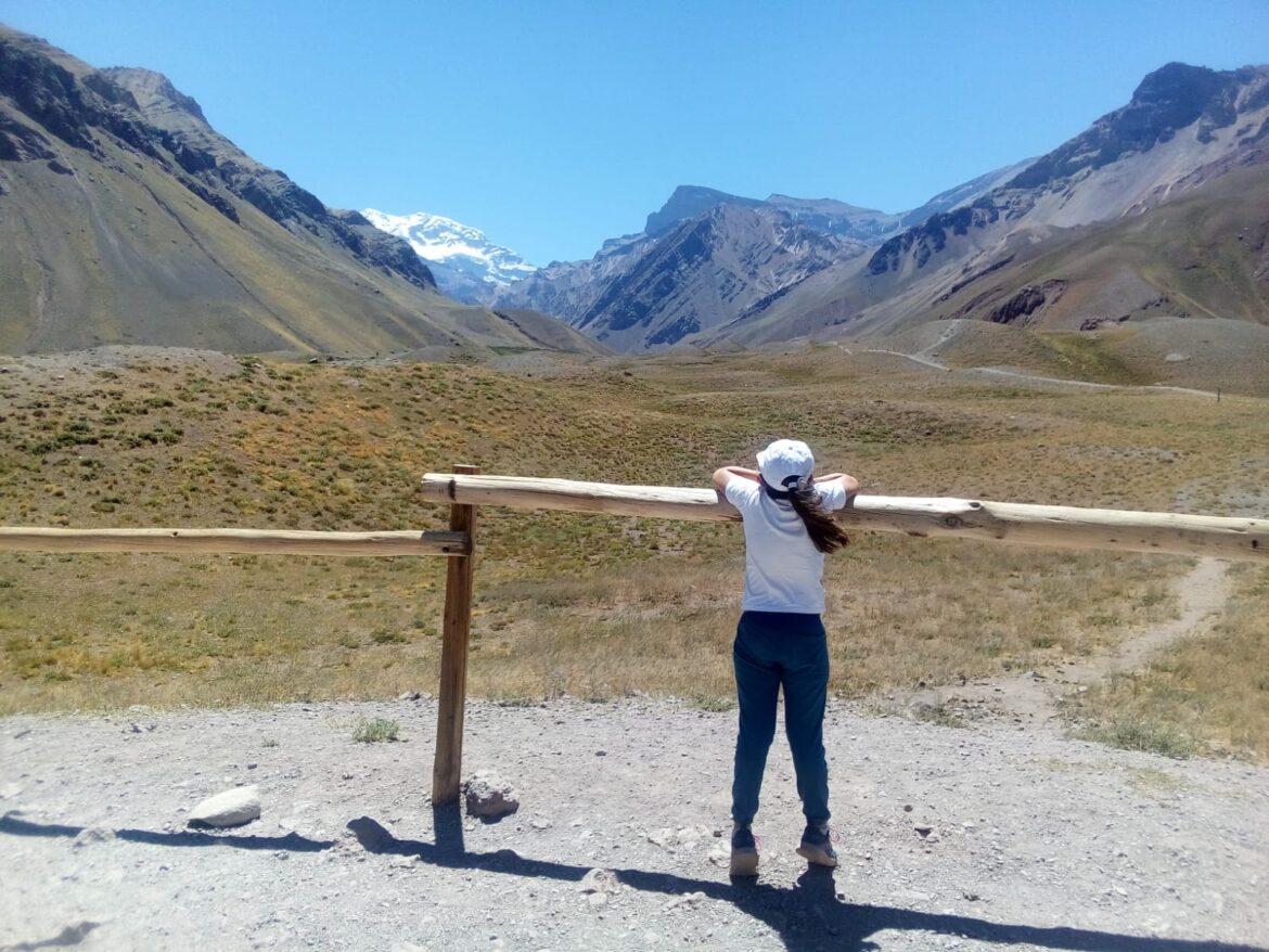 La rosa. Por Malena Botana