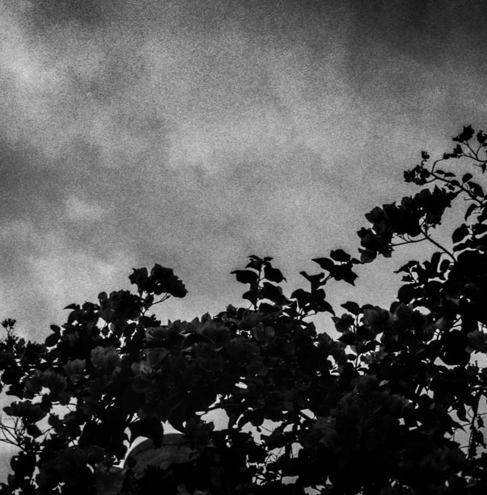 ¿Mami, cuándo llegaremos allí? Por Anna Planeta