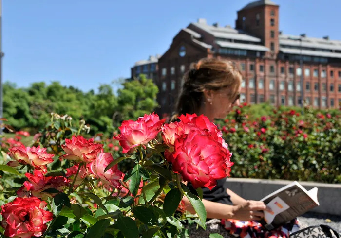 Misteriosa Buenos Aires 3. Por Juan Botana