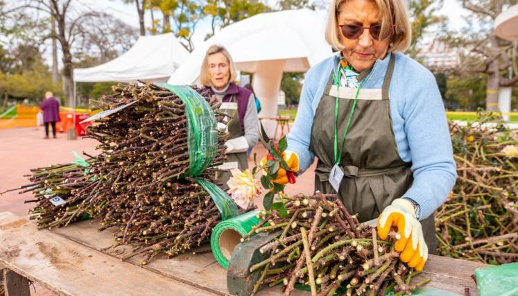 Las rosas de los rosales. Por Juan Botana