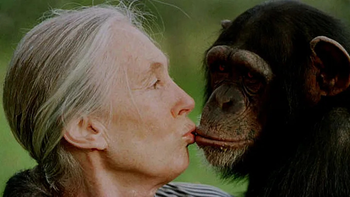 En su paso por Buenos Aires: las frases que nos dejó Jane Goodall. Por Juan Botana