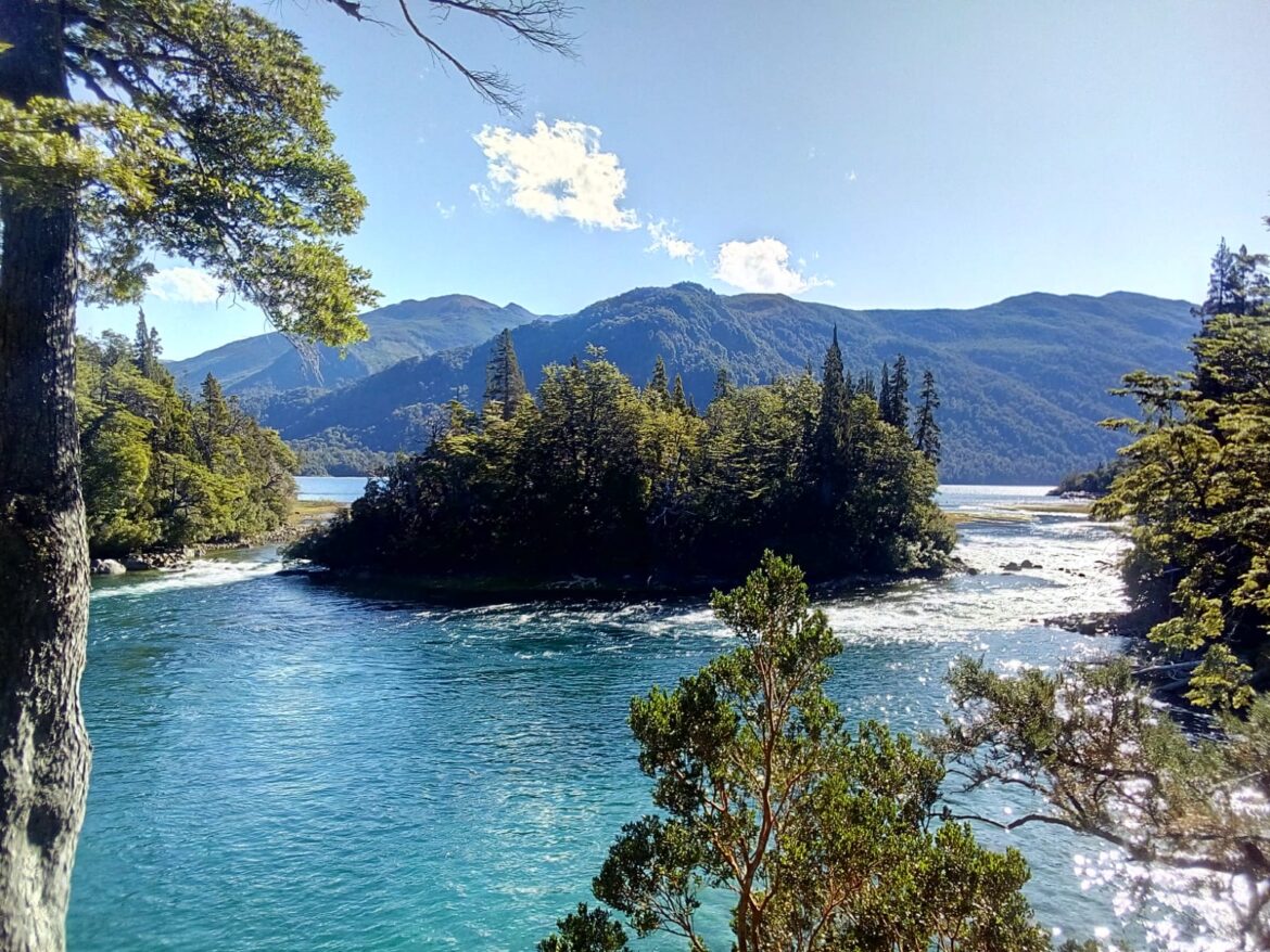 Los Alerces. Por Juan Botana