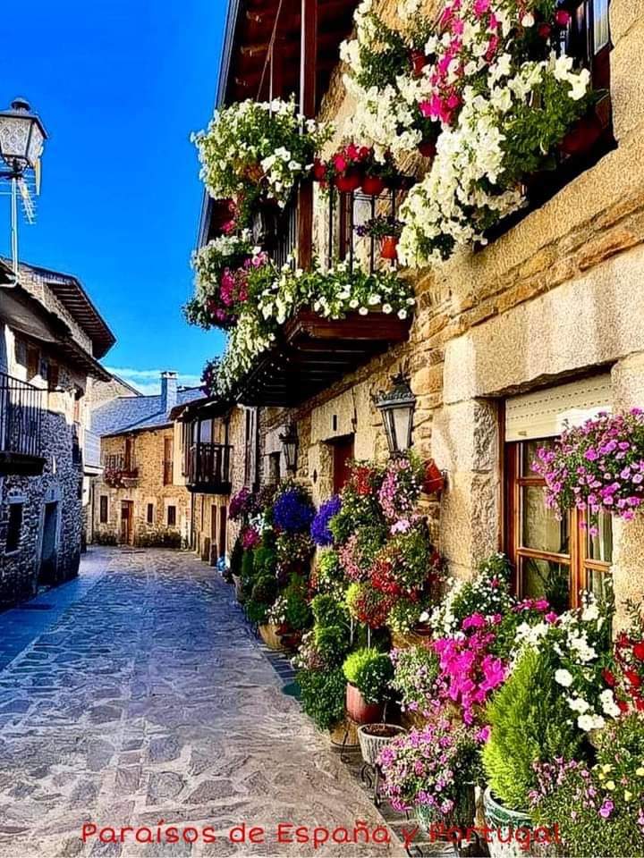 Historia de vida. Por Mary Mosquera