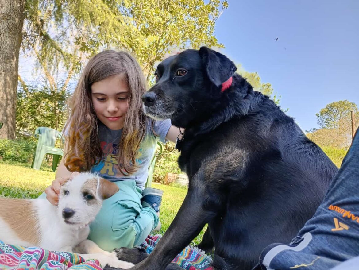 Suena con el bajo una dulce melodía. Por Malena Botana